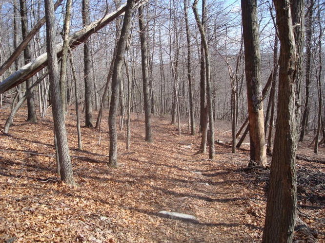 Picture 21 of Catoctin Trail Hike 032611