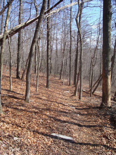 Picture 22 of Catoctin Trail Hike 032611