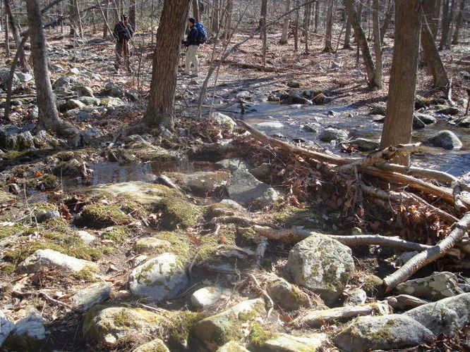 Picture 23 of Catoctin Trail Hike 032611