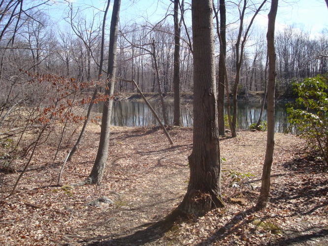 Picture 25 of Catoctin Trail Hike 032611