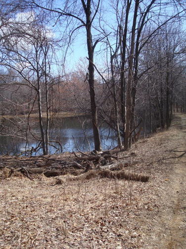 Picture 26 of Catoctin Trail Hike 032611
