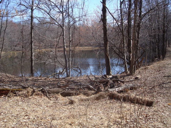 Picture 27 of Catoctin Trail Hike 032611