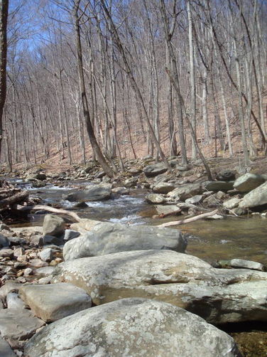 Picture 30 of Catoctin Trail Hike 032611