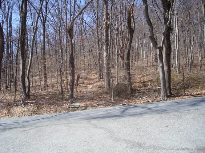 Picture 33 of Catoctin Trail Hike 032611