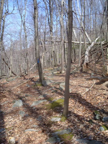 Picture 35 of Catoctin Trail Hike 032611