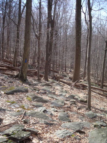 Picture 36 of Catoctin Trail Hike 032611