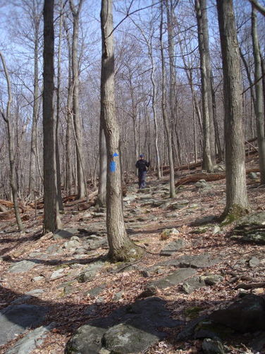 Picture 37 of Catoctin Trail Hike 032611
