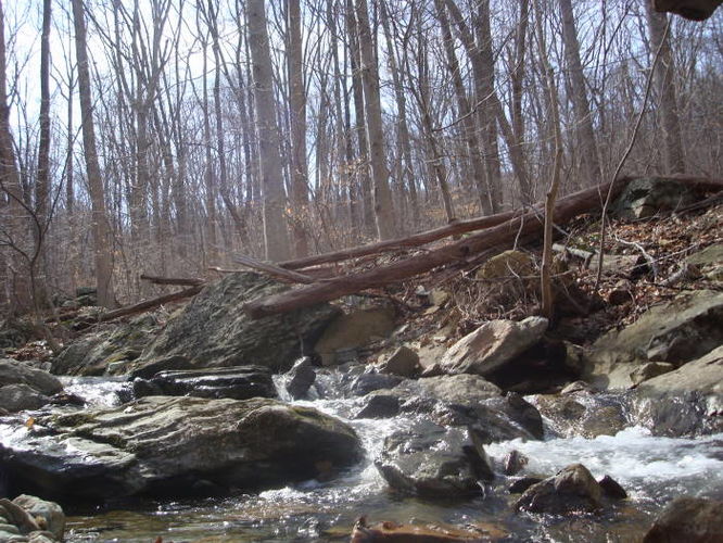 Picture 38 of Catoctin Trail Hike 032611