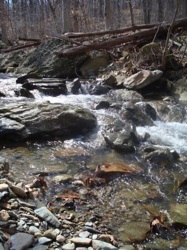 Picture 40 of Catoctin Trail Hike 032611