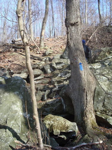 Picture 42 of Catoctin Trail Hike 032611