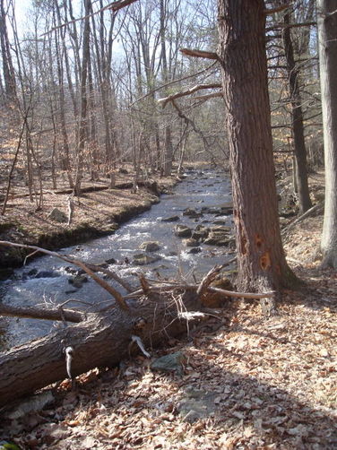 Picture 43 of Catoctin Trail Hike 032611