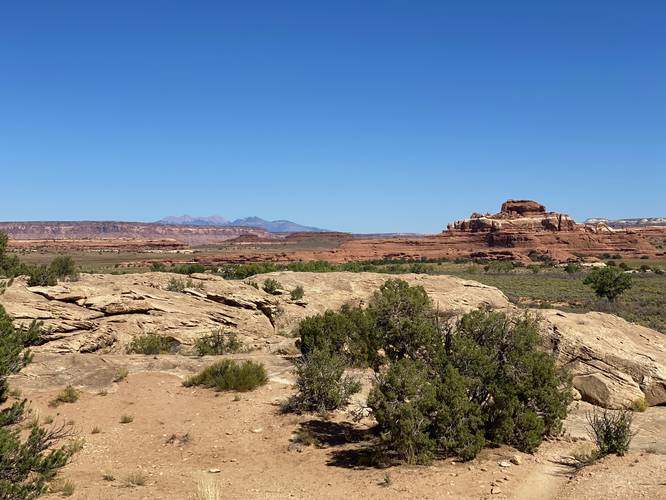 View of Canyonland's landscape