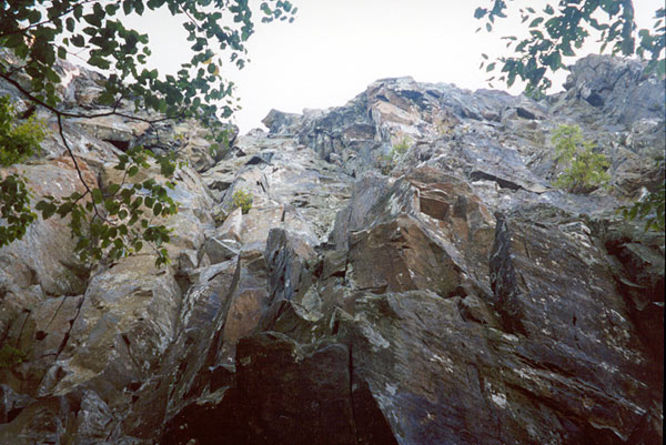 Default image for Cedar Run Hike, a 3.9-mile trail in Syria, VA (US)