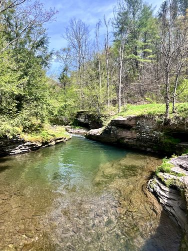 Cedar Run Swimming Hole - Cedar Run Swimming Hole in May album