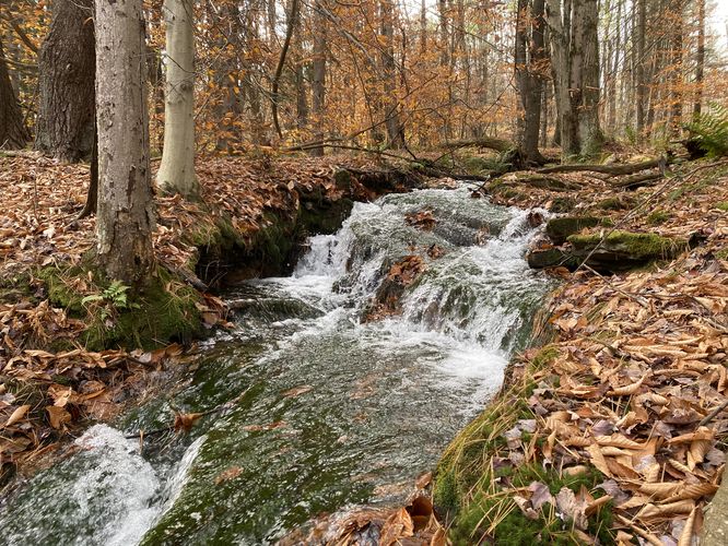 Smaller waterfall along Cemetery Run