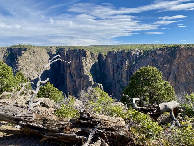 View into the Black Canyon with forest debris in the foreground
