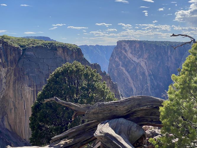 View into the Black Canyon from the trail