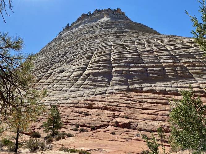 View of the Checkerboard Mesa