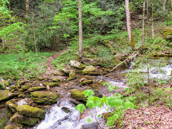 Picture 10 of Cheoah Bald Hike 042917