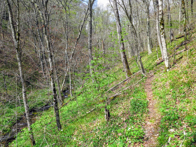 Picture 19 of Cheoah Bald Hike 042917