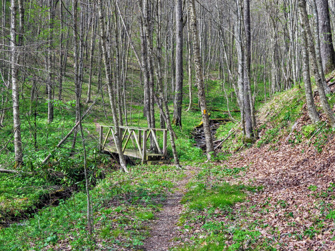 Picture 21 of Cheoah Bald Hike 042917