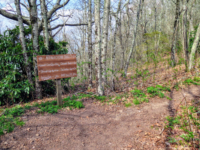 Picture 24 of Cheoah Bald Hike 042917