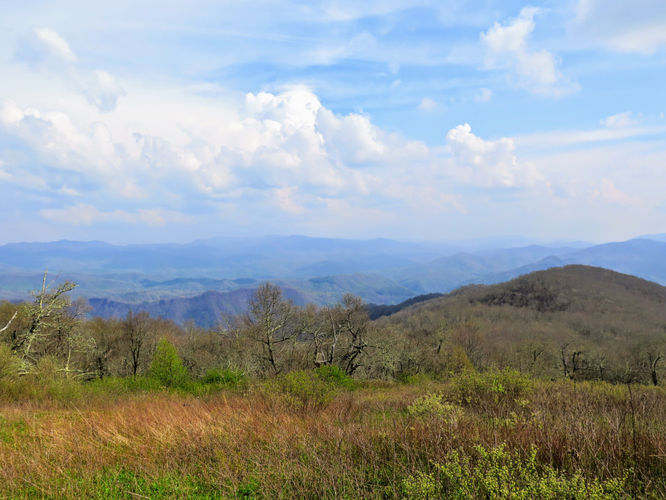 Picture 30 of Cheoah Bald Hike 042917