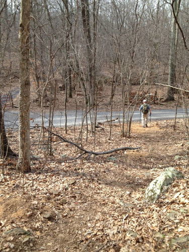 Picture 5 of Chester Gap to Jenkins Gap Hike 030912