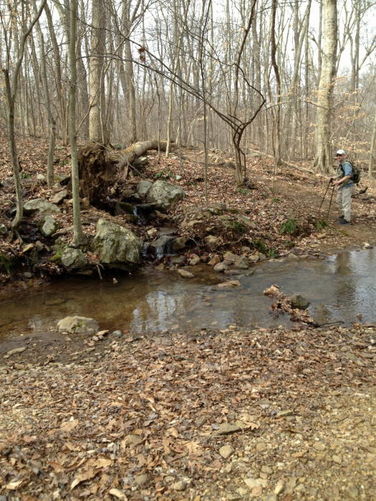 Picture 6 of Chester Gap to Jenkins Gap Hike 030912