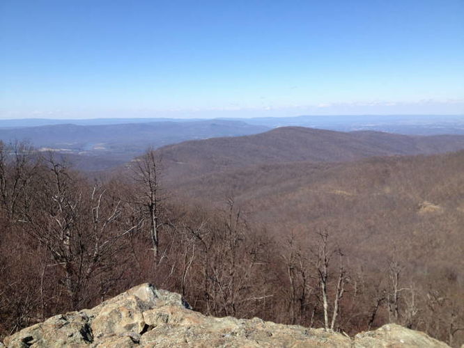 Default image for Chester Gap to Jenkins Gap Hike, a 8.2-mile trail in Warren County, VA (US)