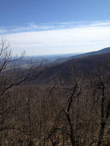 Picture 24 of Chester Gap to Jenkins Gap Hike 030912