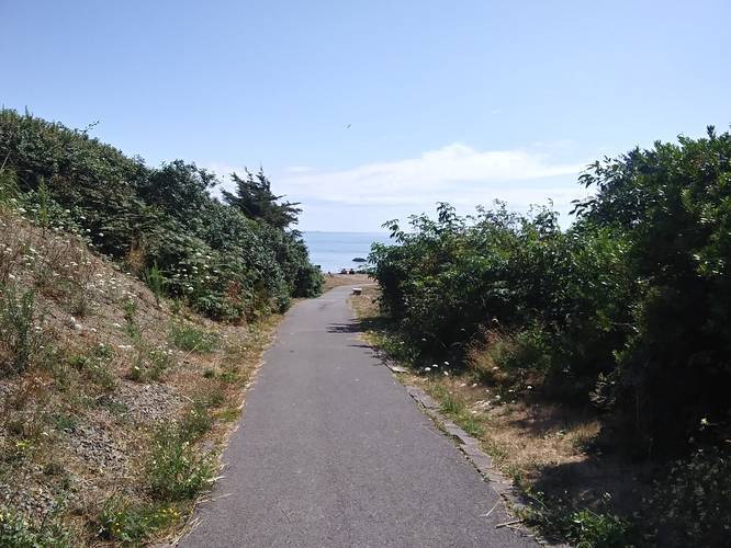 Picture 6 of Chetco Point Trail