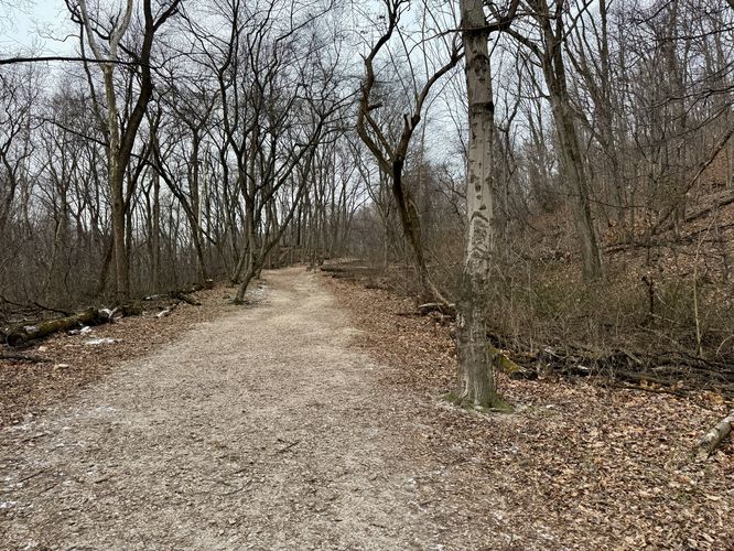 Hiking the trail uphill toward Chickies Rock