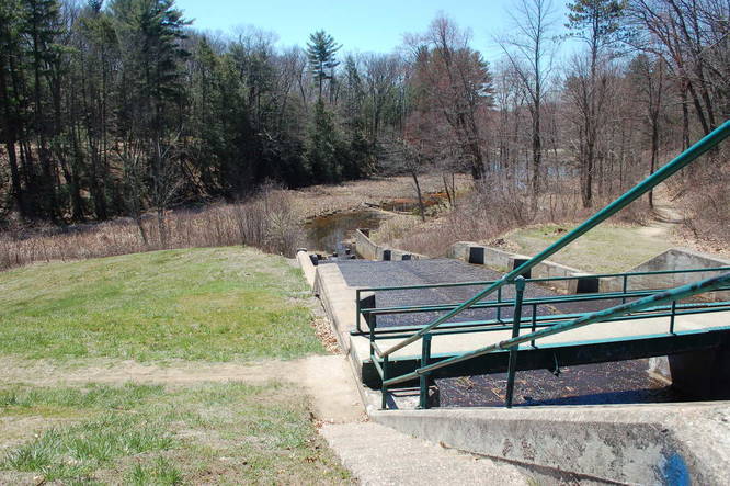 Picture 5 of Chicopee Memorial State Park