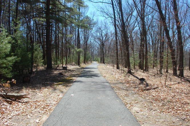 Picture 11 of Chicopee Memorial State Park