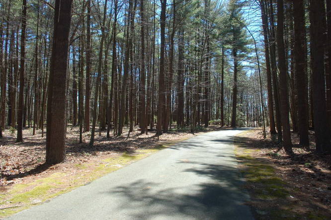 Picture 12 of Chicopee Memorial State Park