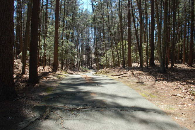 Picture 13 of Chicopee Memorial State Park