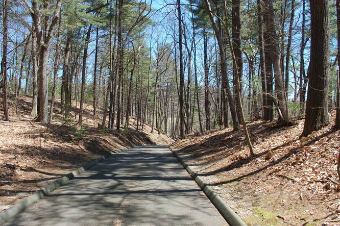 Picture 15 of Chicopee Memorial State Park