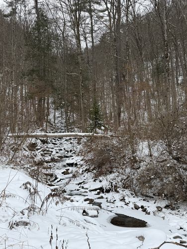 Picture 4 of Chimney Hollow Falls Ice Climb 12272024
