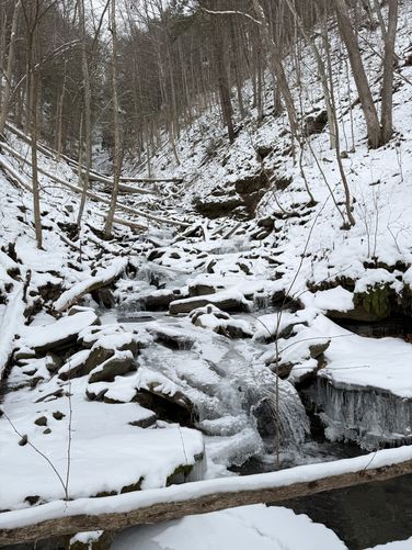 Picture 5 of Chimney Hollow Falls Ice Climb 12272024