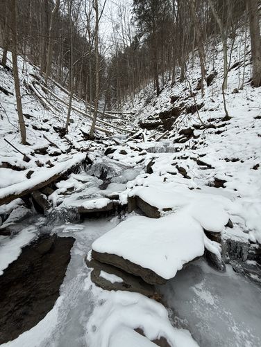 Picture 6 of Chimney Hollow Falls Ice Climb 12272024