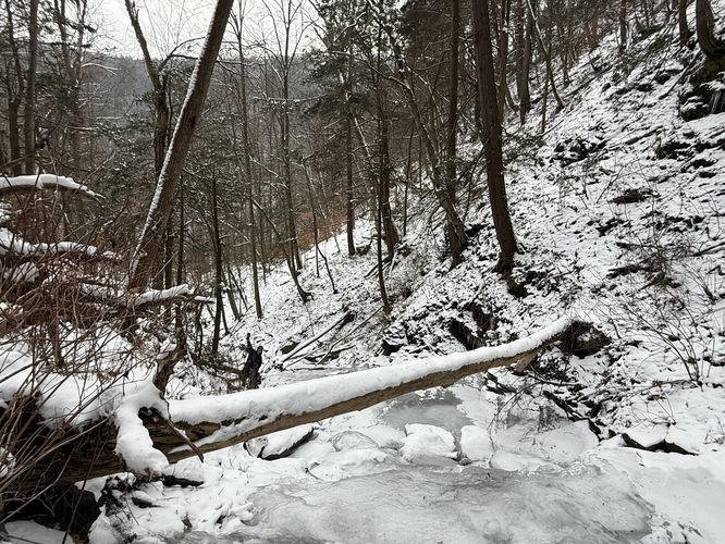 Picture 13 of Chimney Hollow Falls Ice Climb 12272024