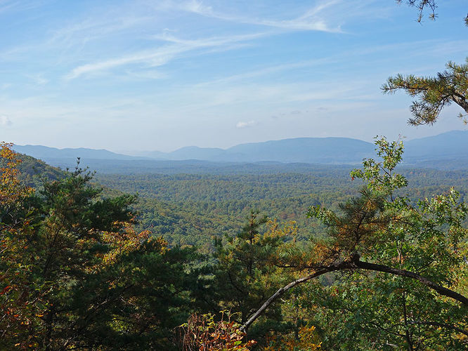Picture 15 of Chimney Hollow and Elliot Knob 100513