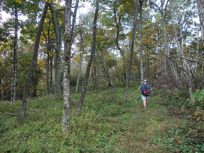 Picture 11 of Chimney Hollow and Elliot Knob 100513