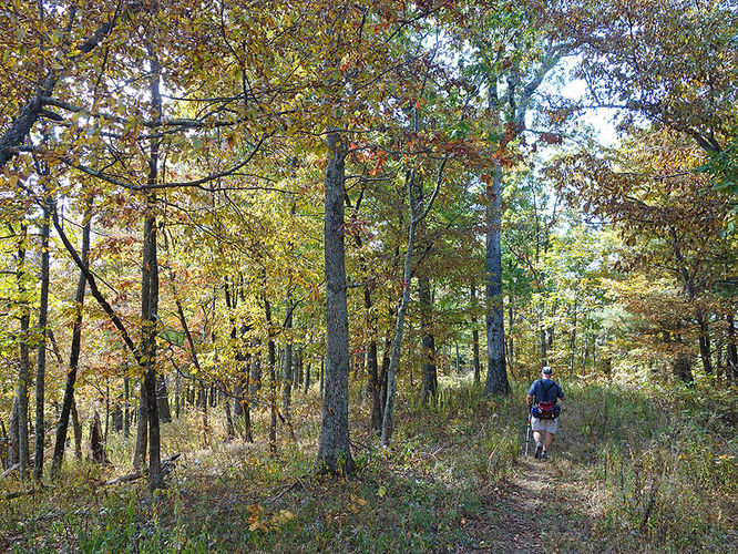 Picture 13 of Chimney Hollow and Elliot Knob 100513