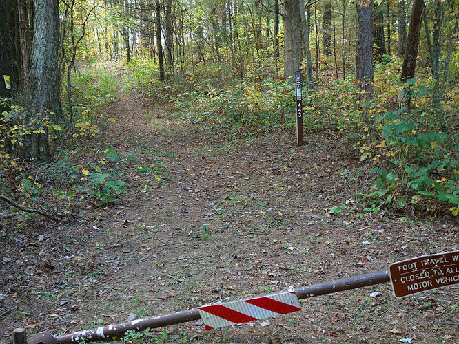 Picture 6 of Chimney Hollow and Elliot Knob 100513