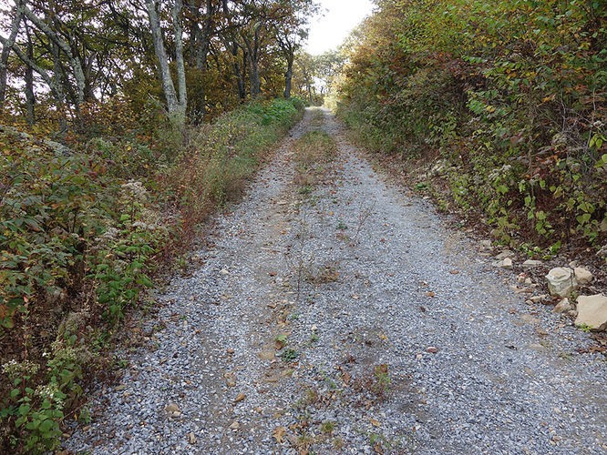 Picture 8 of Chimney Hollow and Elliot Knob 100513