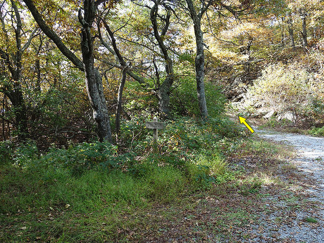Picture 9 of Chimney Hollow and Elliot Knob 100513