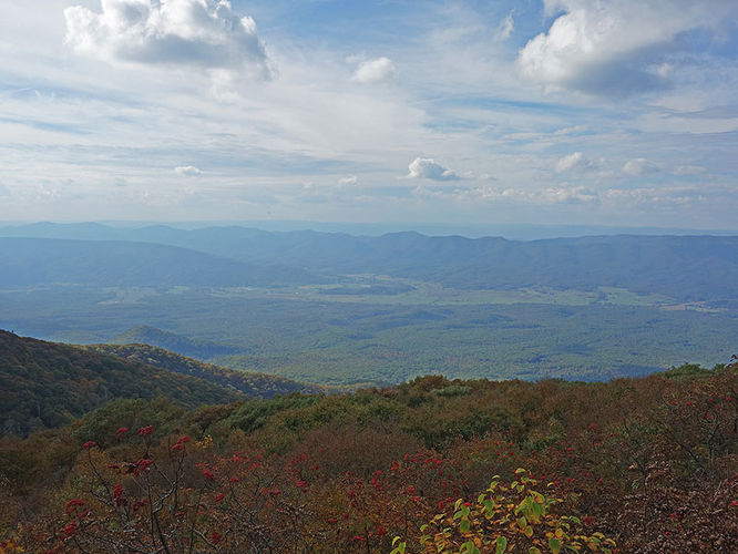 Picture 10 of Chimney Hollow and Elliot Knob 100513