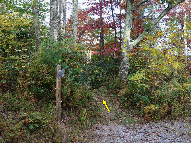 Picture 3 of Chimney Hollow and Elliot Knob 100513